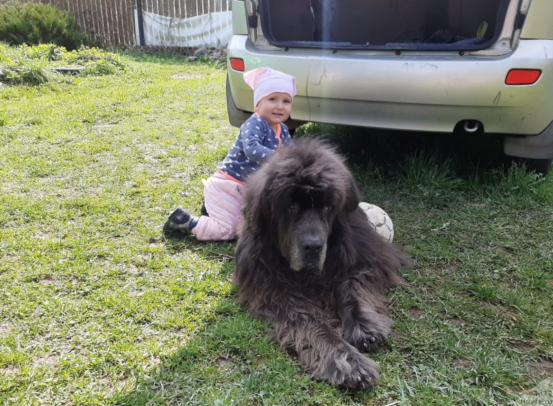 Фотография № 246884