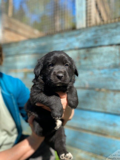 Фотография № 246922