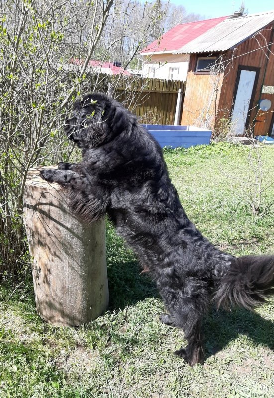 Фотография № 246939