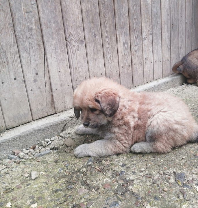 Фотография № 246973