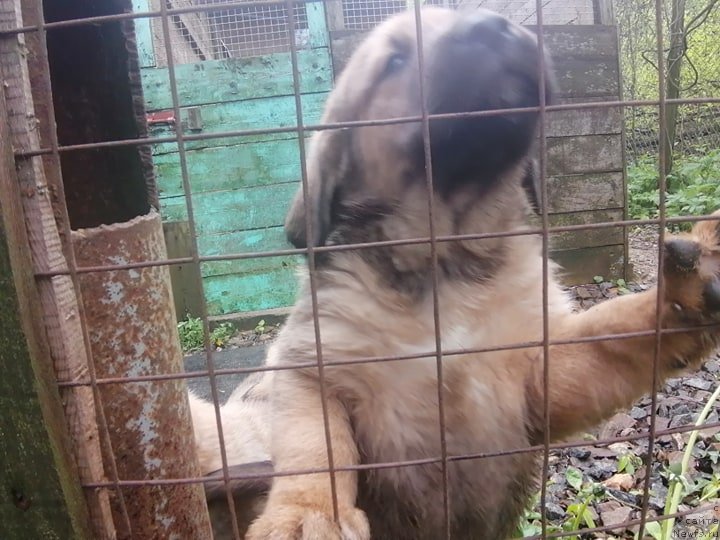 Фотография № 246975