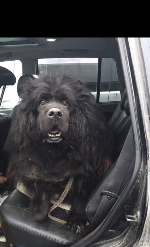 Фотография № 246976