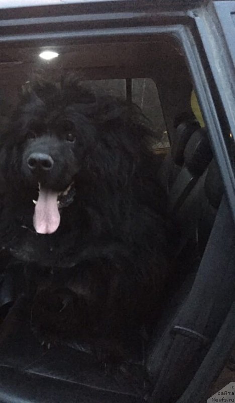 Фотография № 246977