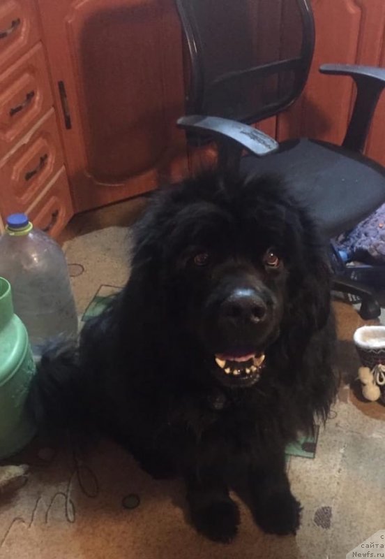 Фотография № 246978