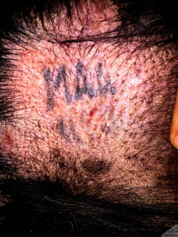 Фотография № 246979