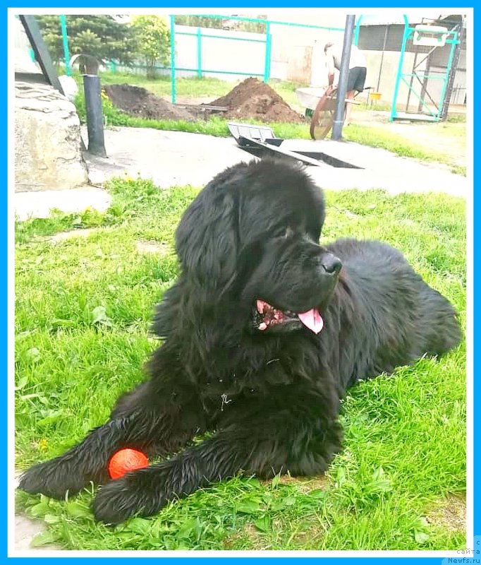 Фотография № 246980