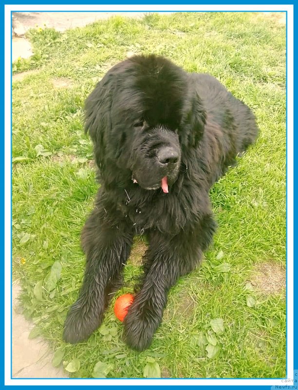 Фотография № 246981