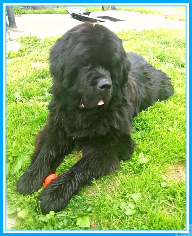 Фотография № 246982