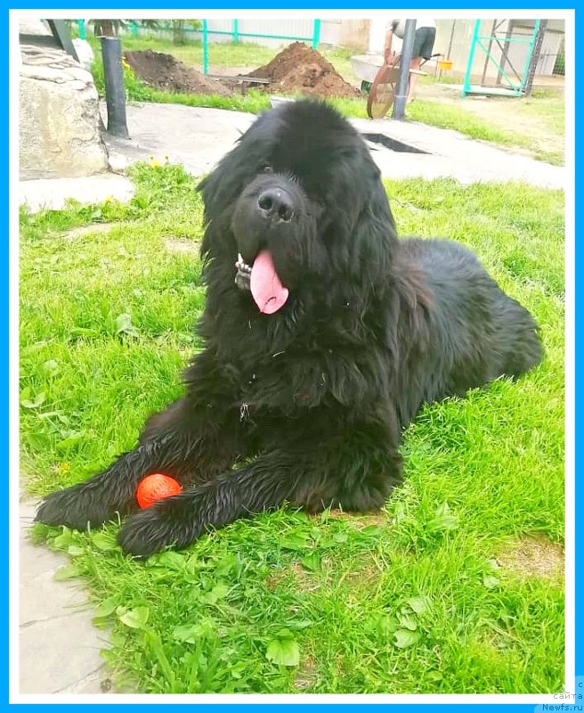 Фотография № 246983