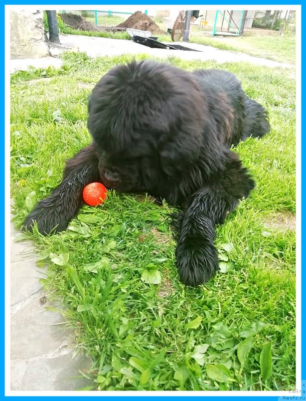 Фото: Мишка