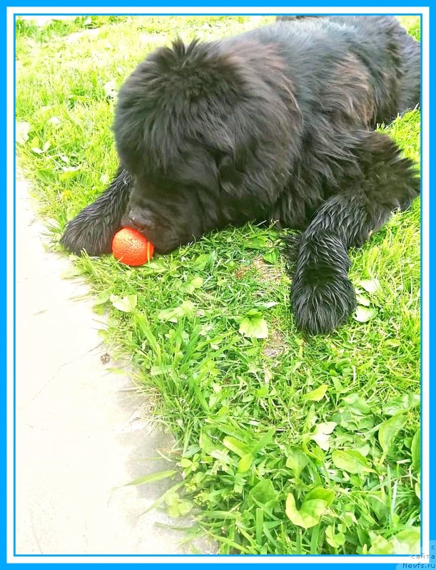 Фото: Мишка