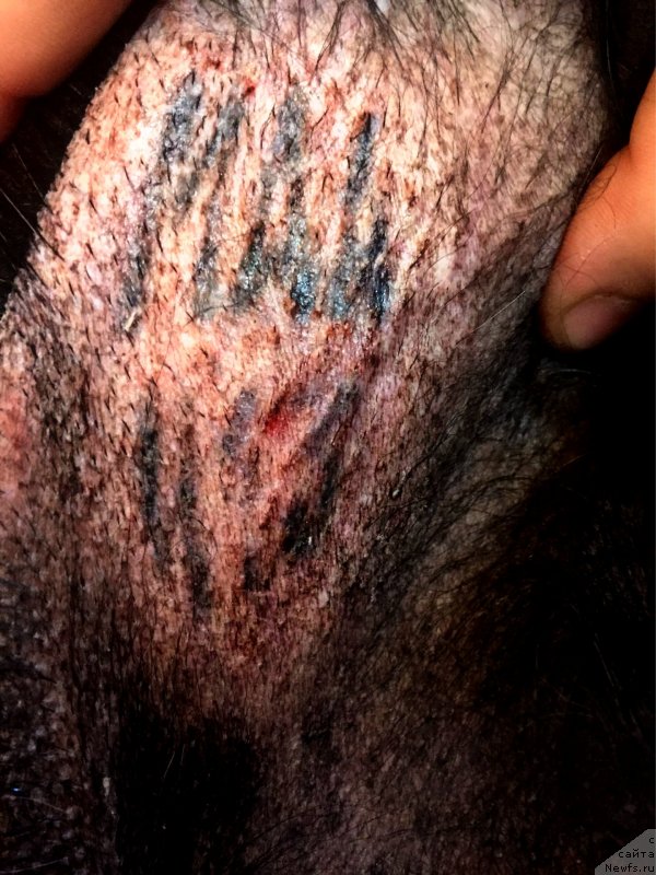 Фотография № 246987