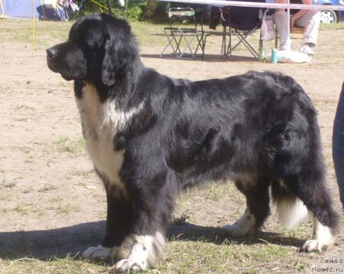 Фотография № 2470