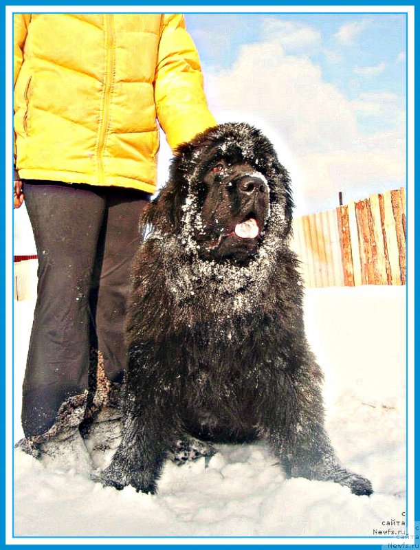 Фотография № 247005