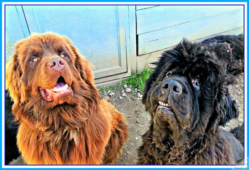 Фотография № 247007