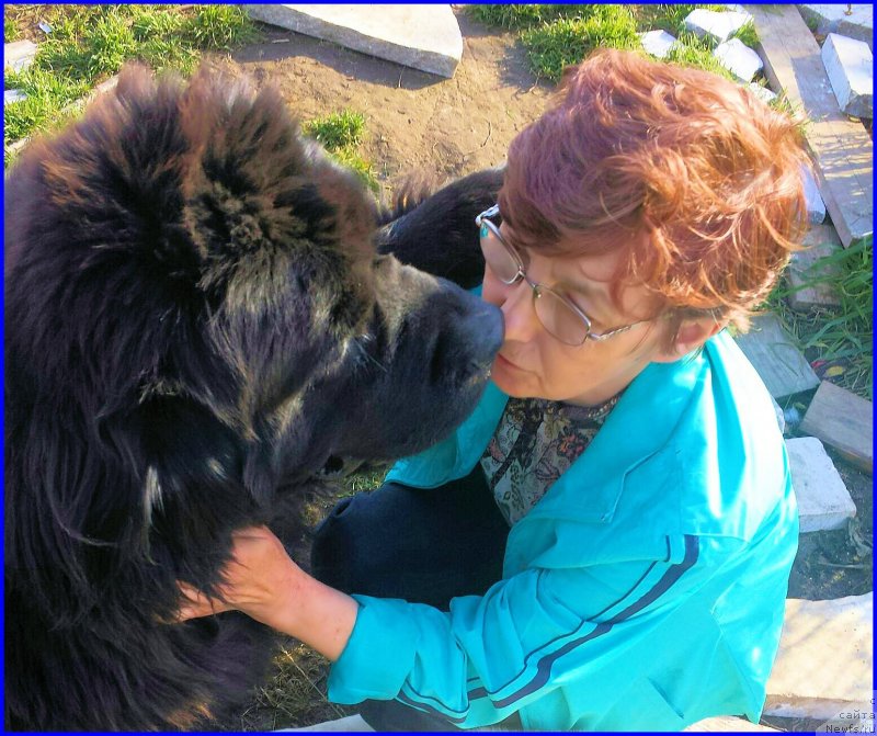 Фотография № 247009