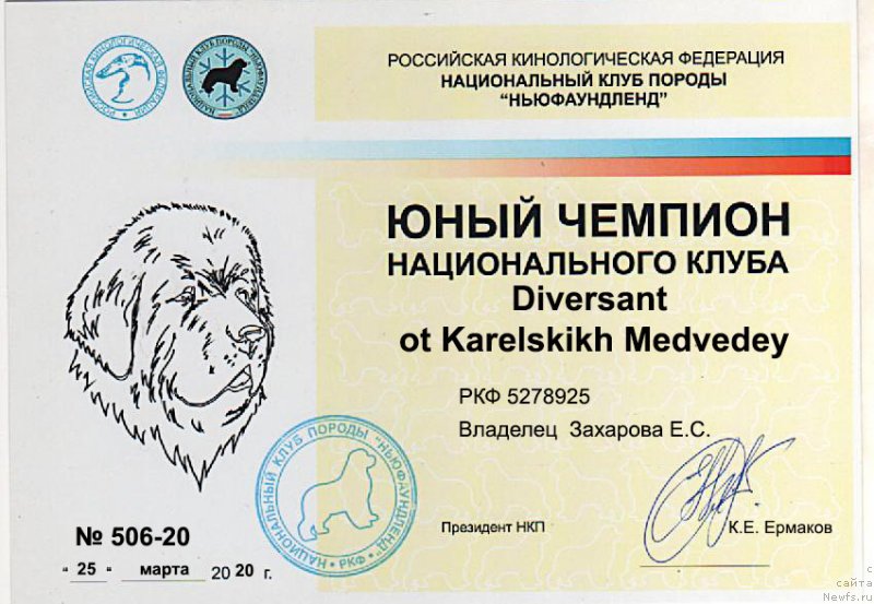 Фотография № 247026