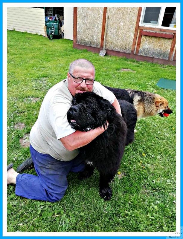 Фотография № 247039