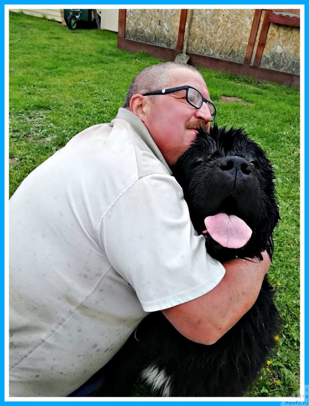 Фотография № 247040