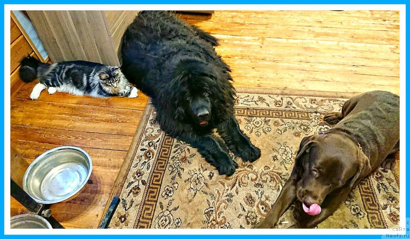 Фотография № 247067