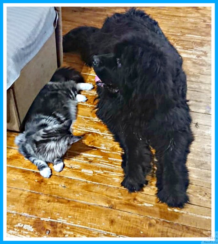 Фотография № 247068