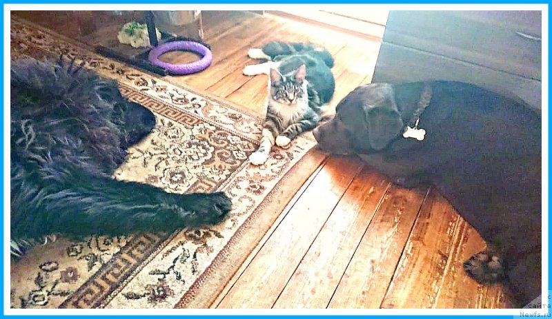 Фотография № 247069