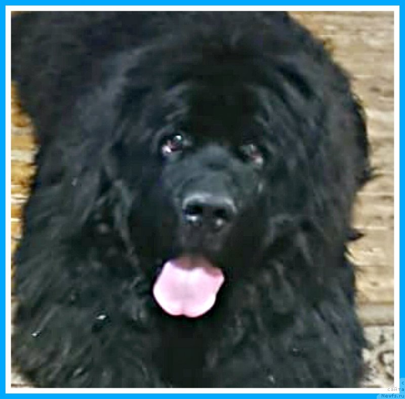 Фотография № 247072