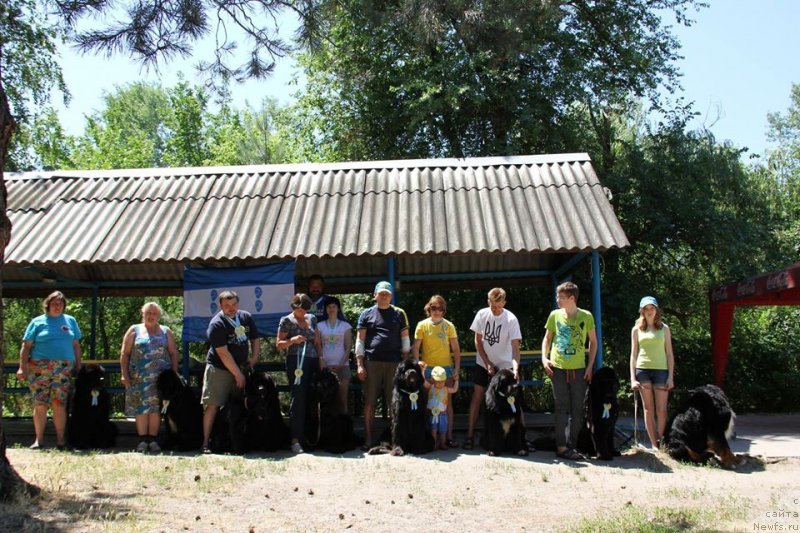 Фото: ньюфаундленд Матвей с Берега Дона (Matvey s Berega Dona), Лилиана Рахматова