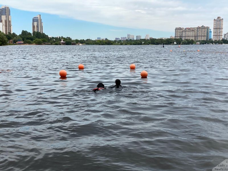 Фотография № 247102