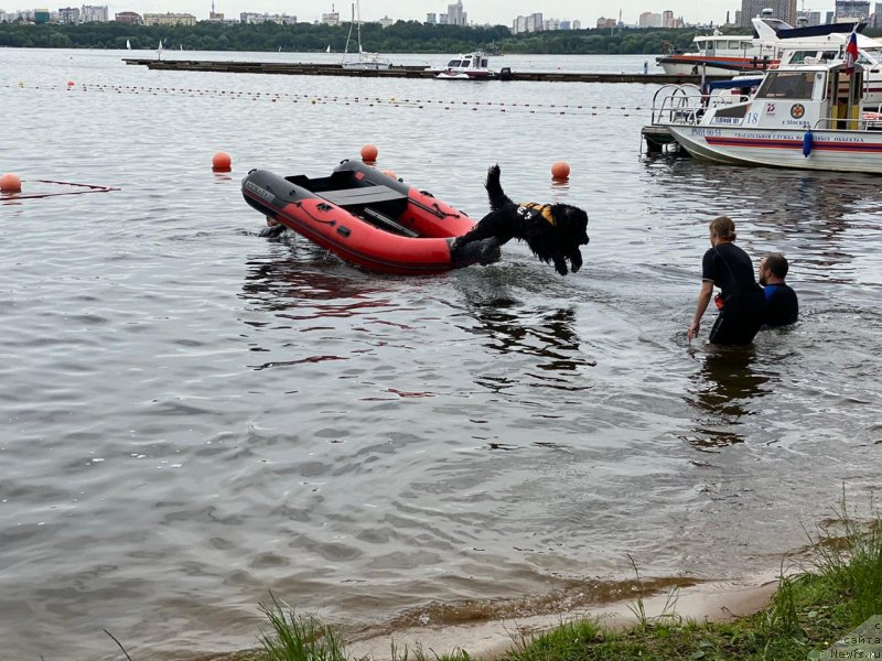 Фотография № 247103