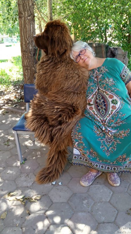 Фотография № 247148