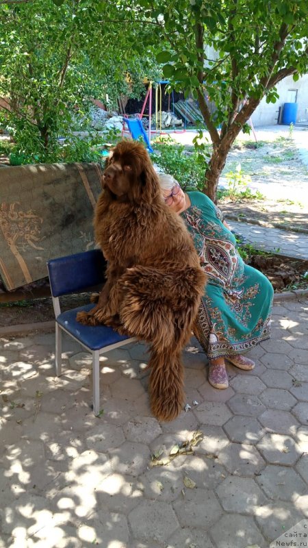 Фотография № 247149