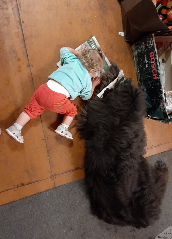 Фотография № 247170