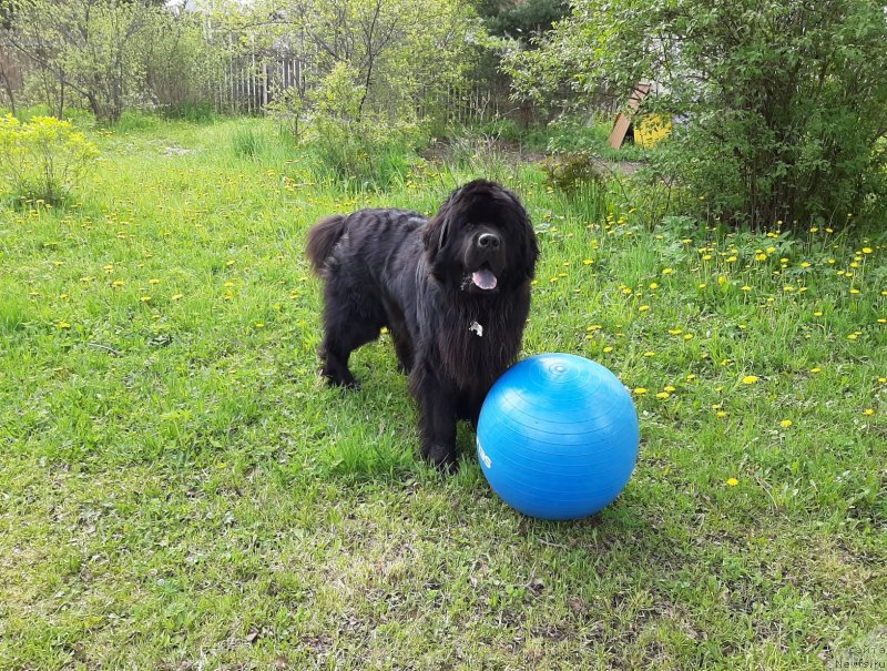 Фотография № 247172