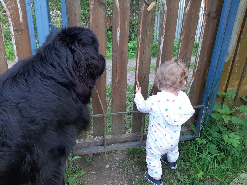 Фотография № 247174