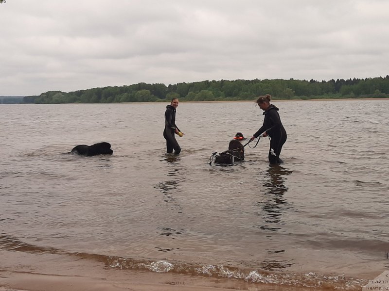 Фотография № 247175