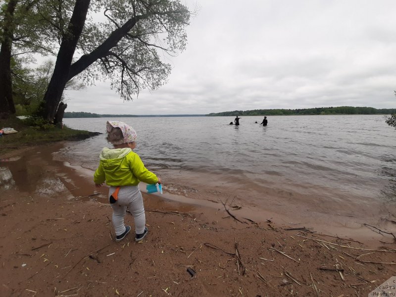 Фотография № 247180