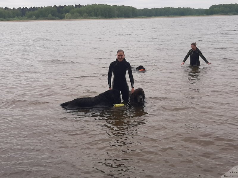 Фотография № 247182