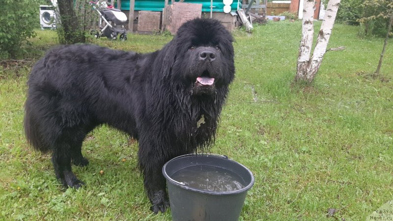 Фотография № 247186