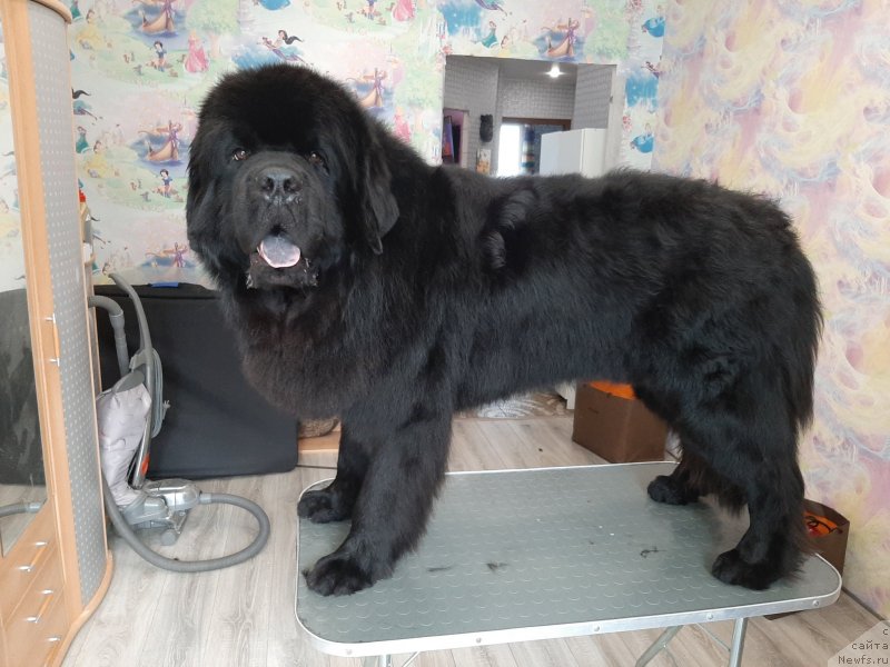 Фотография № 247188