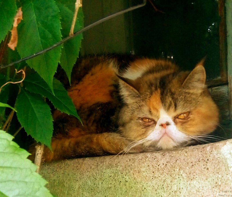 Фото: Евгений Степанов