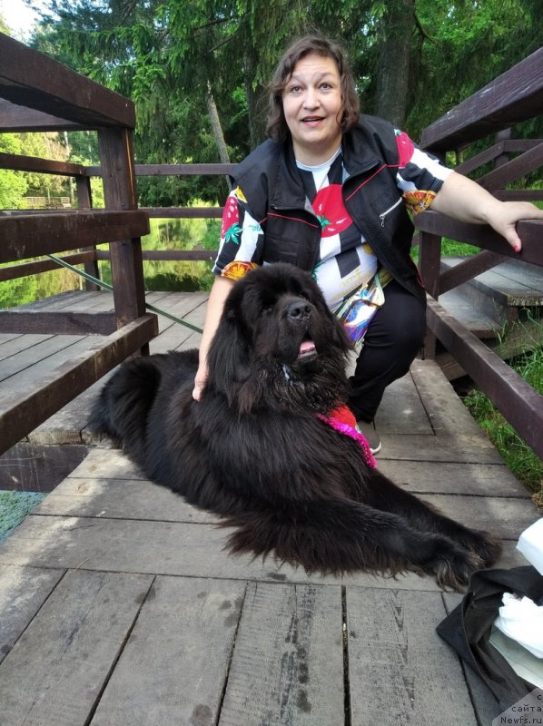 Фото: ньюфаундленд Даанич Веселый Роджер, Лилиана Рахматова