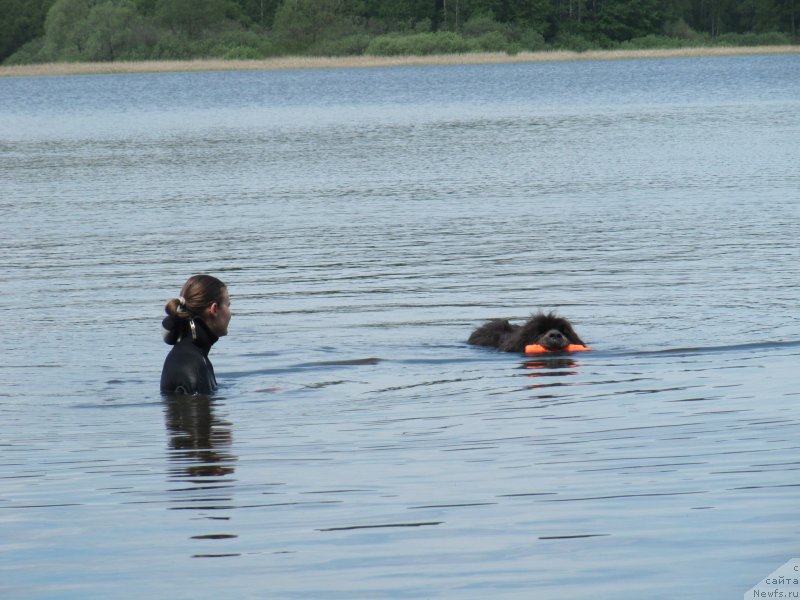 Фотография № 247220