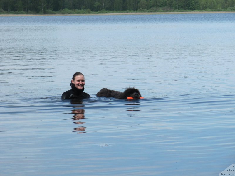 Фотография № 247221