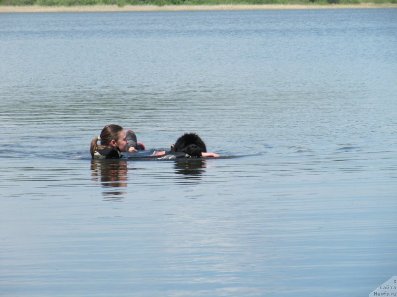 Фотография № 247223