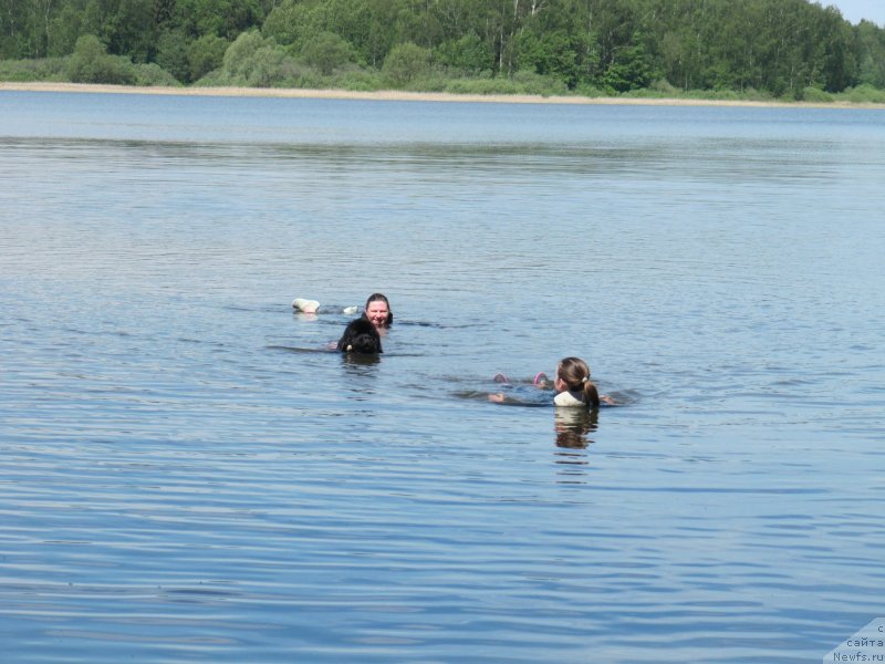 Фотография № 247225