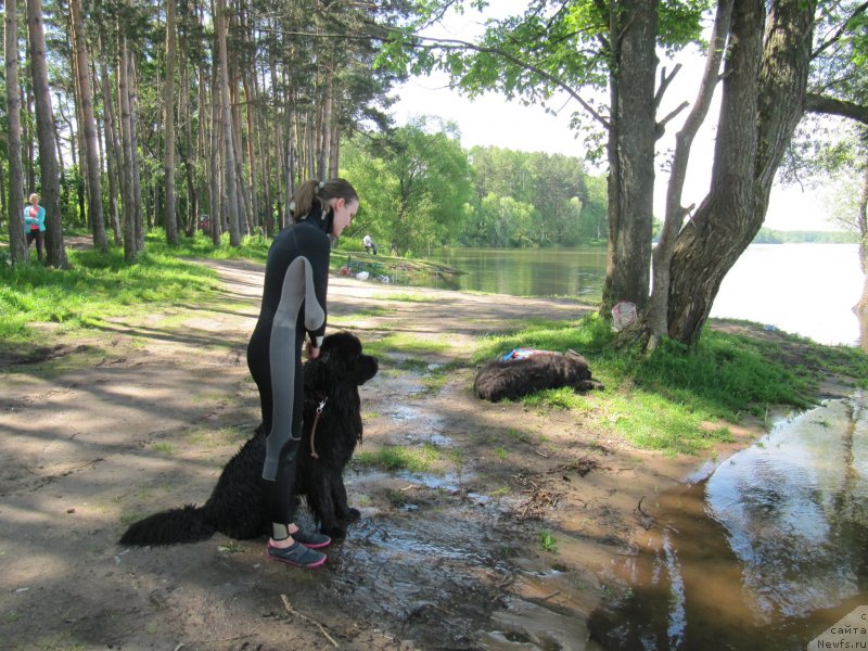 Фотография № 247227