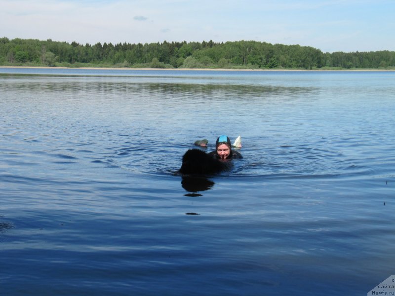 Фотография № 247228