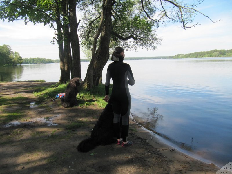 Фотография № 247229