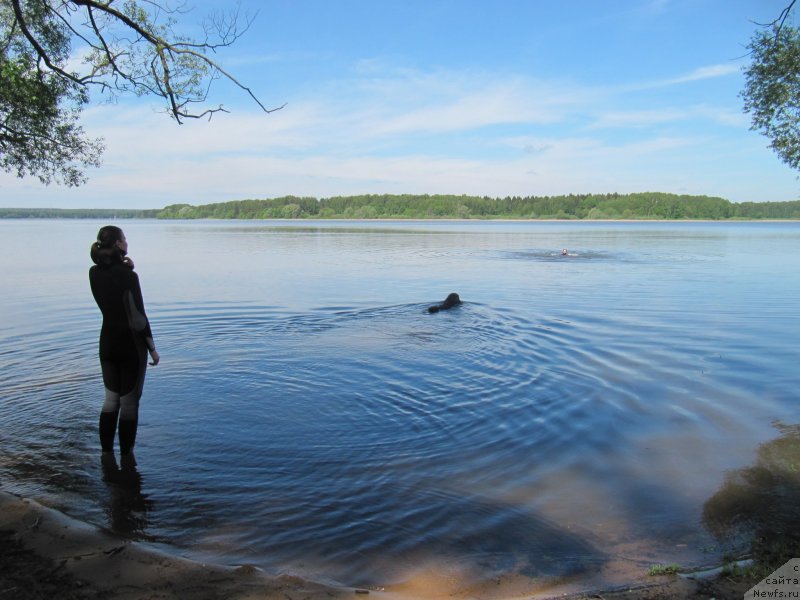 Фотография № 247230